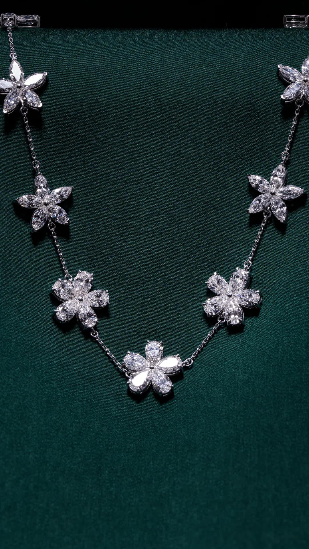 The Blossom