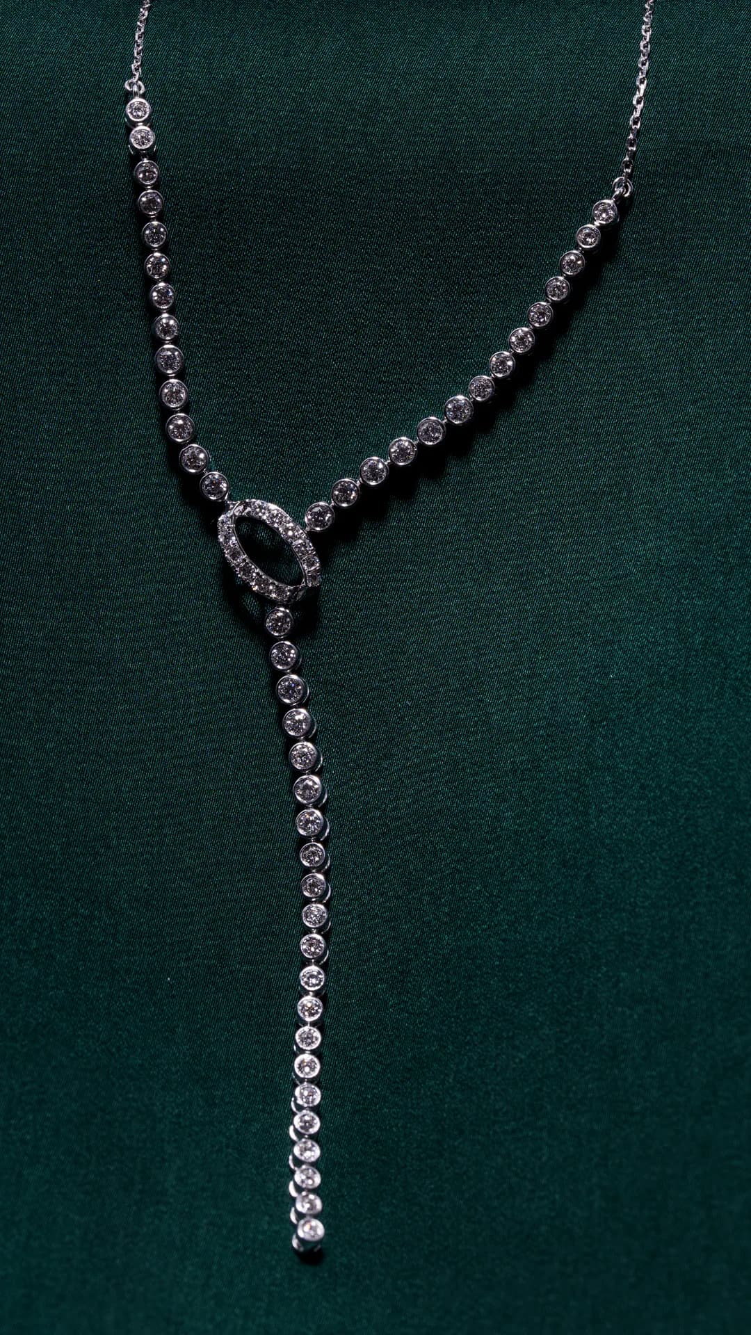 The Lasso